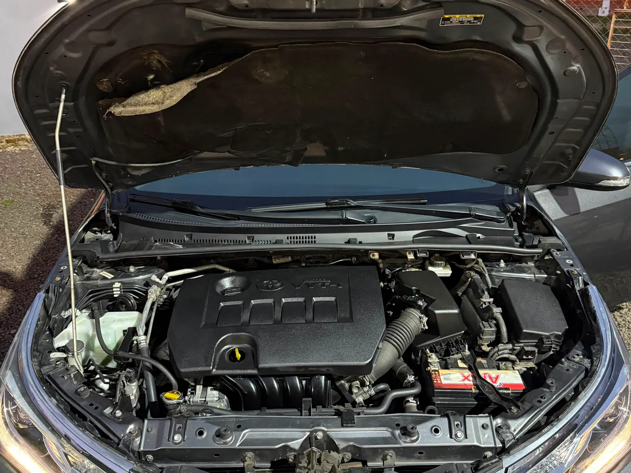 Toyota Corolla 2019 Sedan