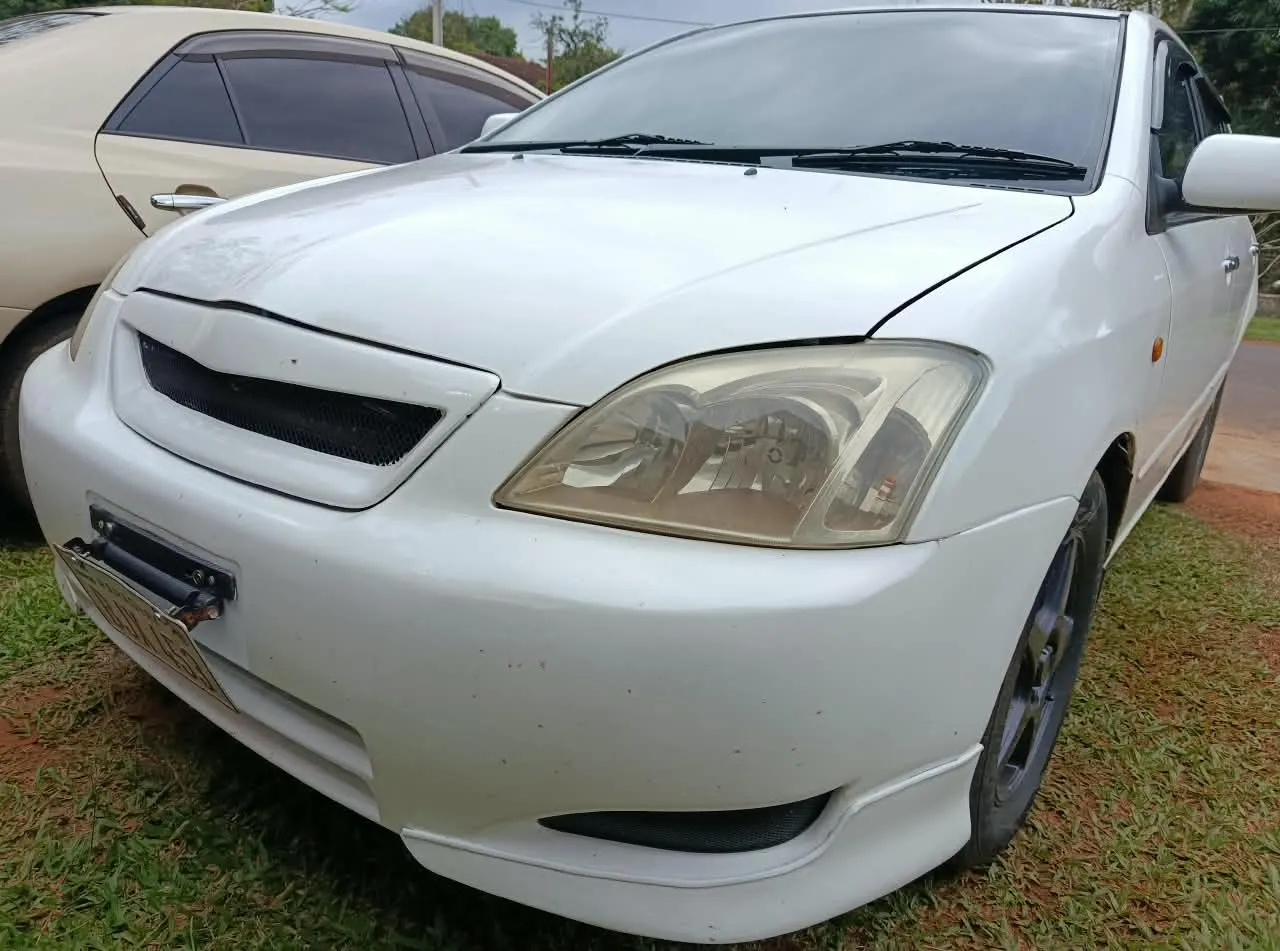 Toyota Alex 2003 2