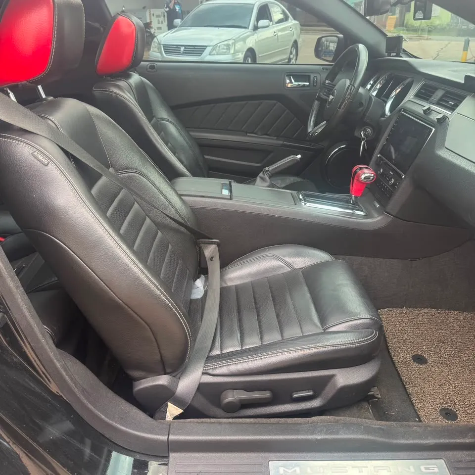 Ford Mustang 2010
