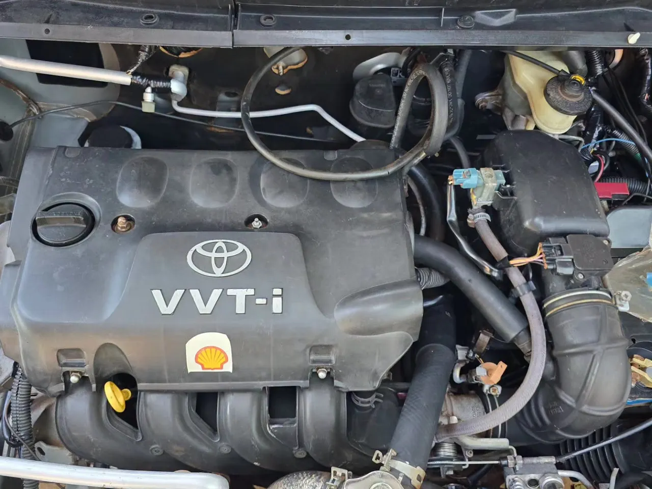 Toyota Platz 2003