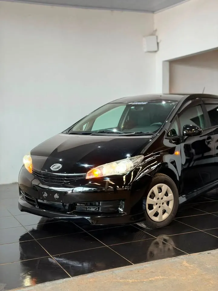 Toyota Wish 2010