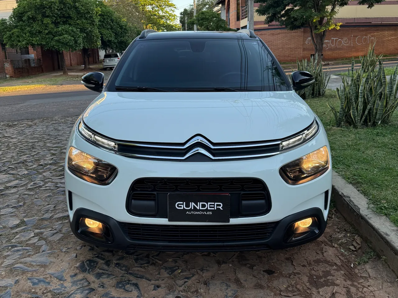 Citroën C4 Cactus 2019 Full equipo, un solo dueño anterior